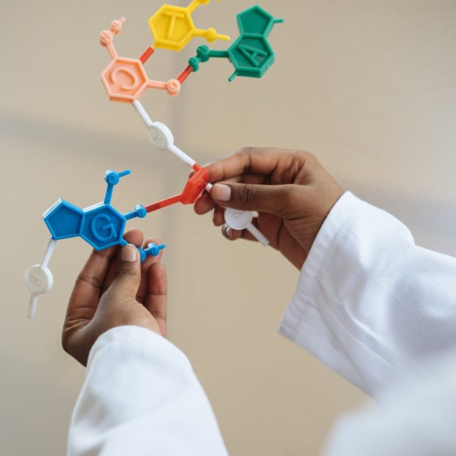crop chemist holding in hands molecule model