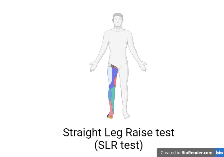 straight leg raise test | slr test | special test for lower limb