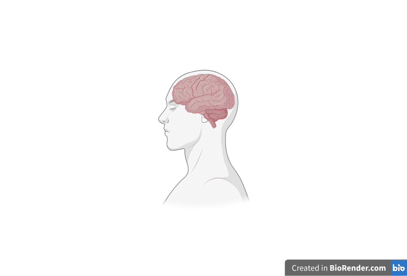 cerebellar ataxia : understanding the condition